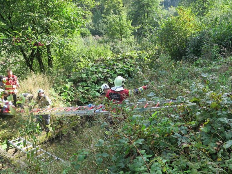 csm_anwil_370_mann_im_sumpf_personenrettung_2_1209.jpg