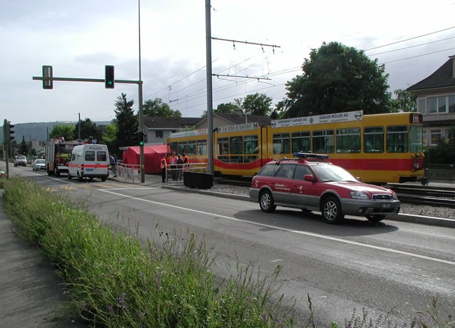 379_1.jpg
