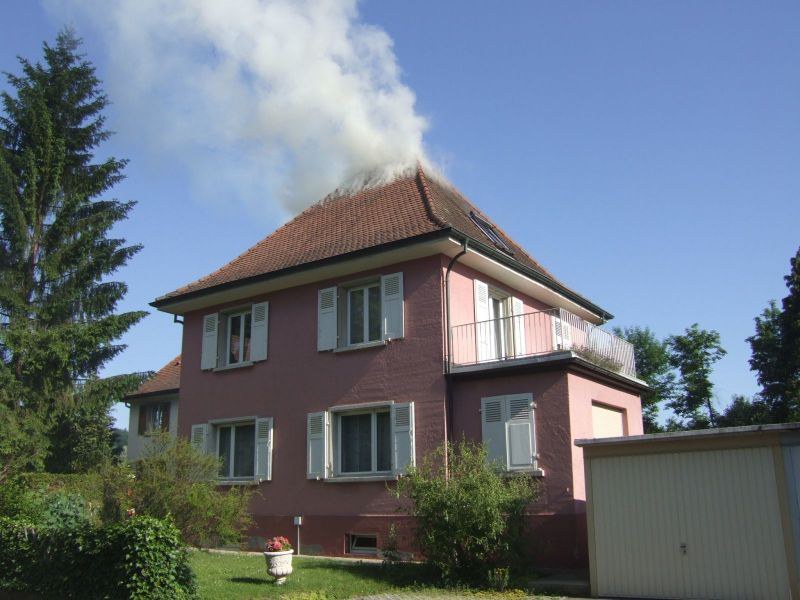 394_reinach_01.jpg