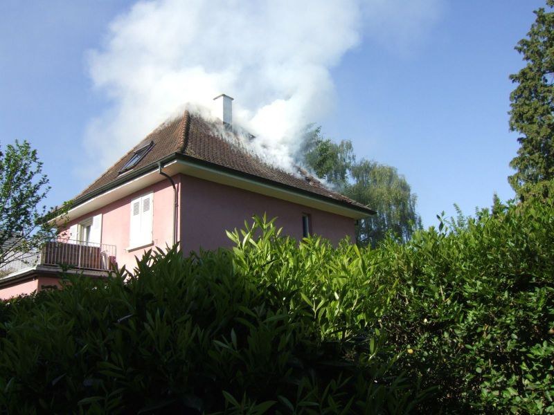 394_reinach_02.jpg