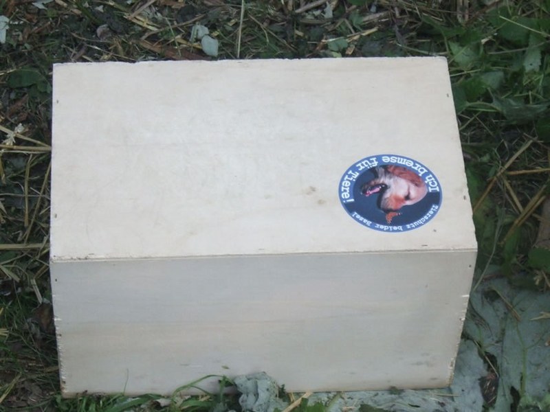 460_4.jpg