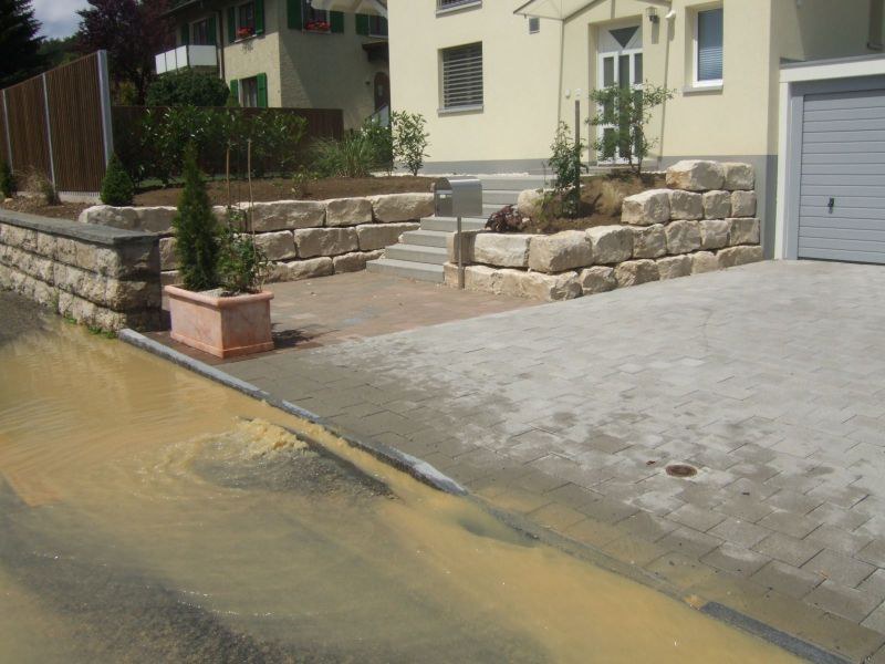 460_02.jpg