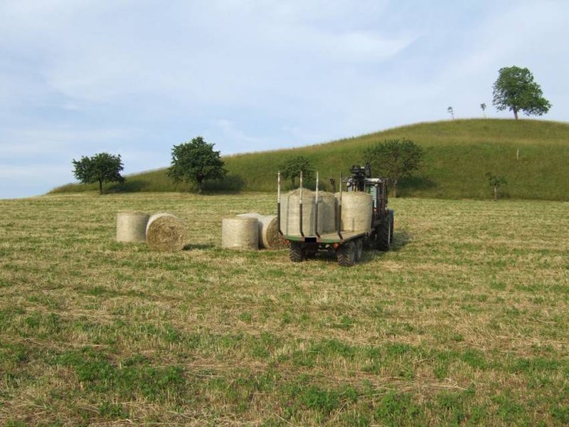 csm_486_4_d008254364.jpg
