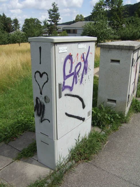 490_4.jpg