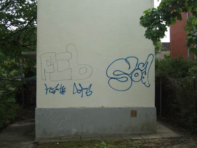 499_1.jpg