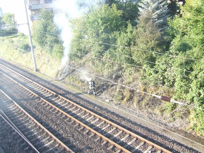 519_2.jpg