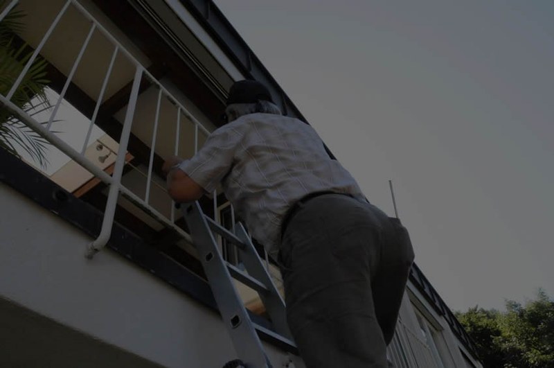 730_2.jpg