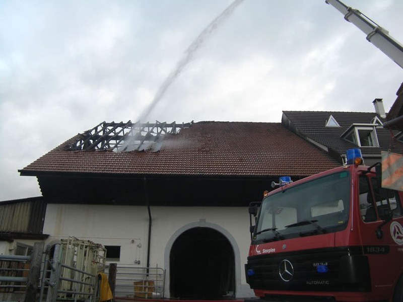 873_4.jpg