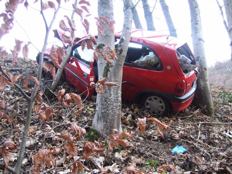 944_3.jpg