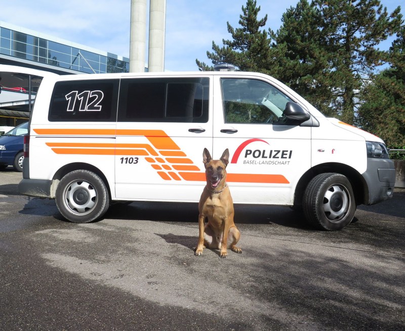 2016_11_29_Lampenberg_Anhaltung nach Verdächtigem Benehmen_Diensthund