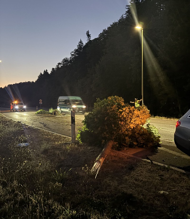 2026_08_14_Ziefen_Selbstunfall_PW_Zeugen_2