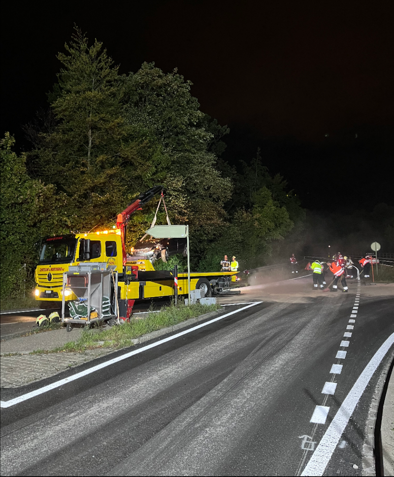 2023_08_31_Münchenstein_Selbstunfall_PW_2