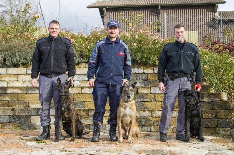 2016_11_11_Läufelfingen_Hundeprüfung_Siegerfoto