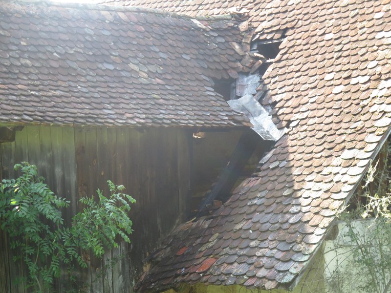 2019_06_03_Hölstein_Blitzschlag_Rind_1