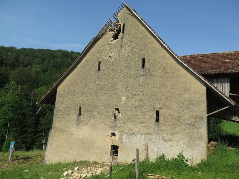 2019_06_03_Hölstein_Blitzschlag_Rind_2