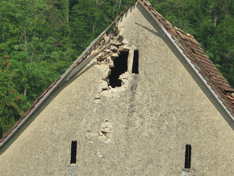 2019_06_03_Hölstein_Blitzschlag_Rind_3
