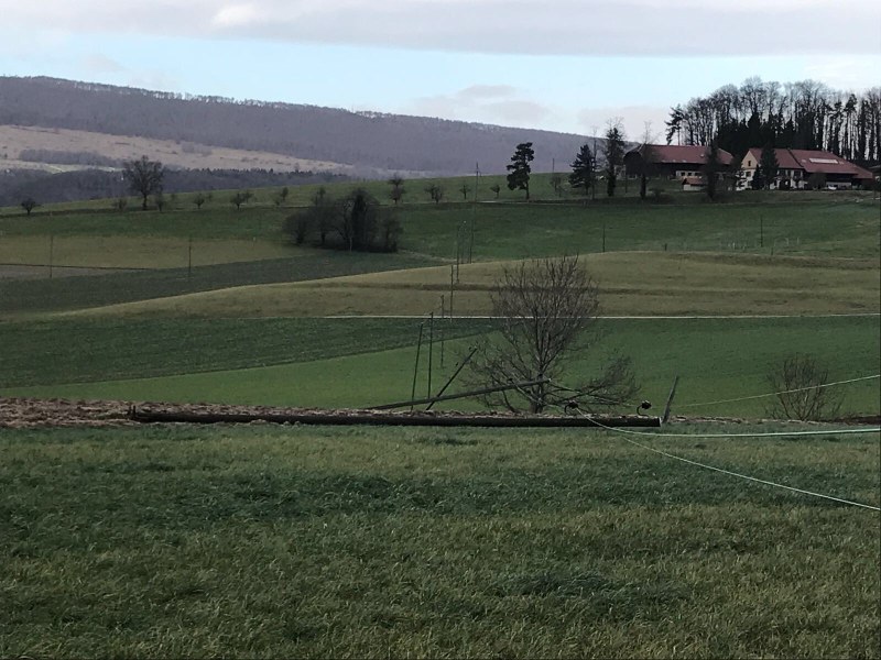 2018_01_03_GanzerKanton_Sturm Burglind_1