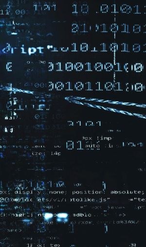 Cybercrime