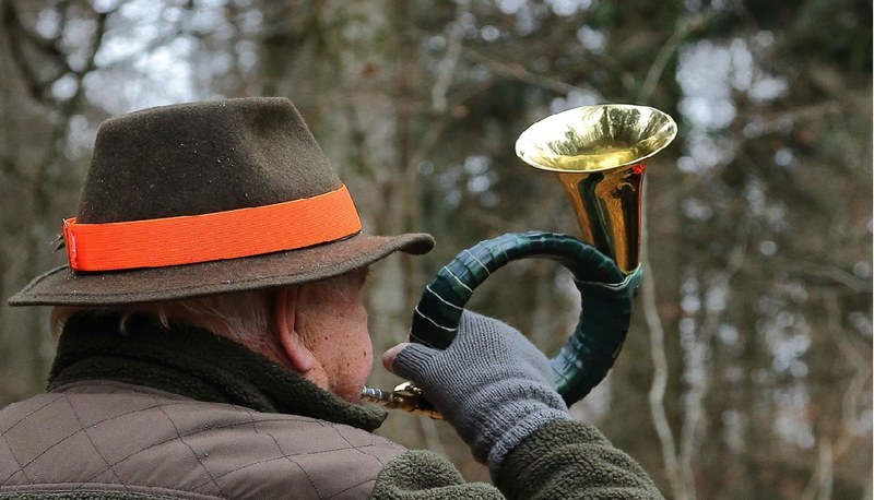 Bild Jagd