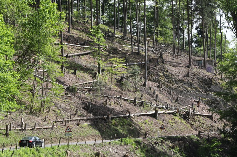 Bild Naturgefahren