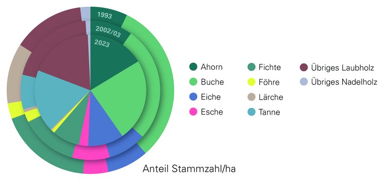 3. Datenanalyse