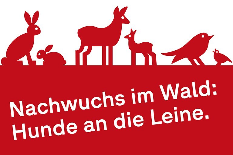 Bild Leinenpflicht