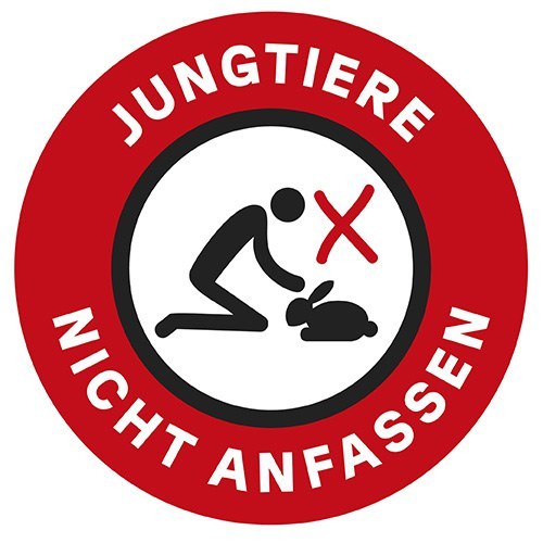 Bild Jungtiere