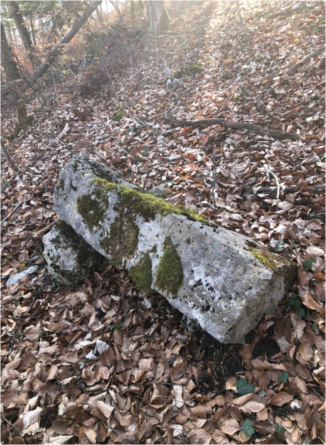 Im Wald liegender vermooster Grenzstein