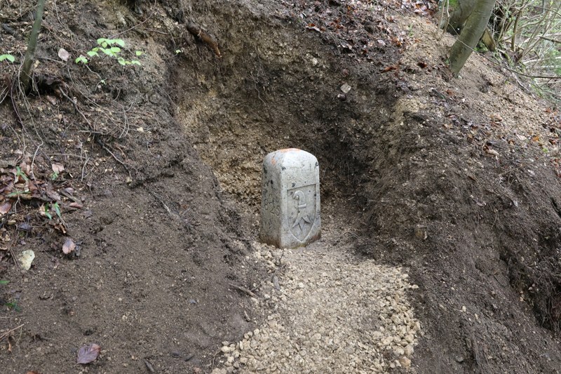 Grenzstein aus hellem Stein im Wald am Hang