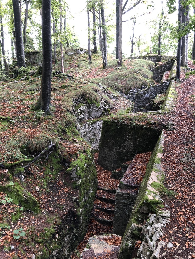 Photo der Fortifikation im Herbstwald, welche aussieht wie ein Graben.
