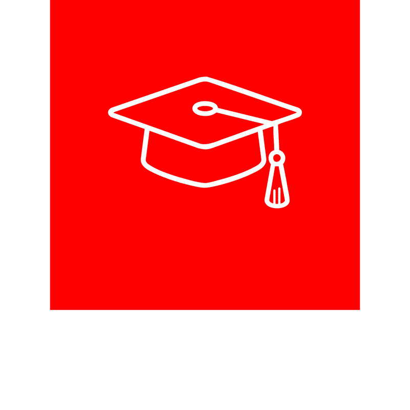 Icon 10