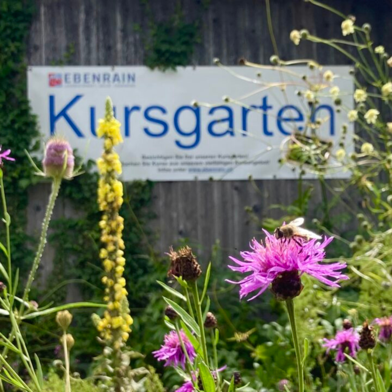 Bild_Ebenrain