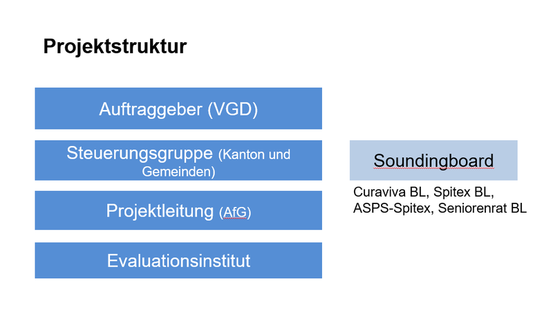 Projektorganisation Evaluation APG