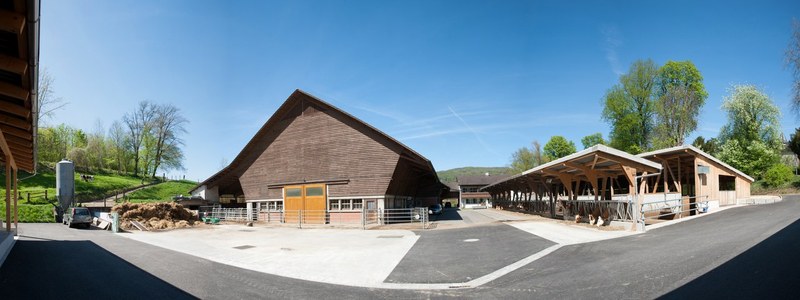 Betriebspiegel
