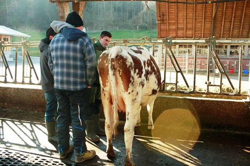 Ausbildung Landwirt/in EFZ in Nachholbildung