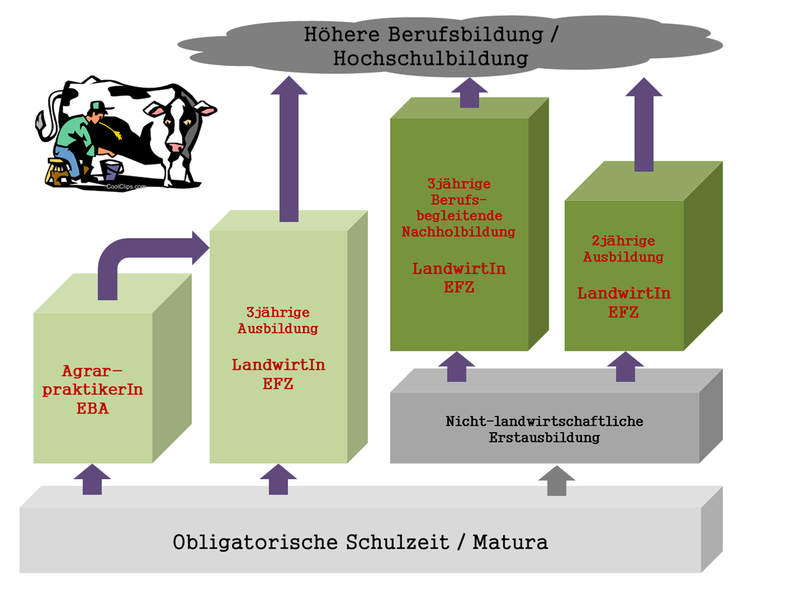 Ausbildungswege