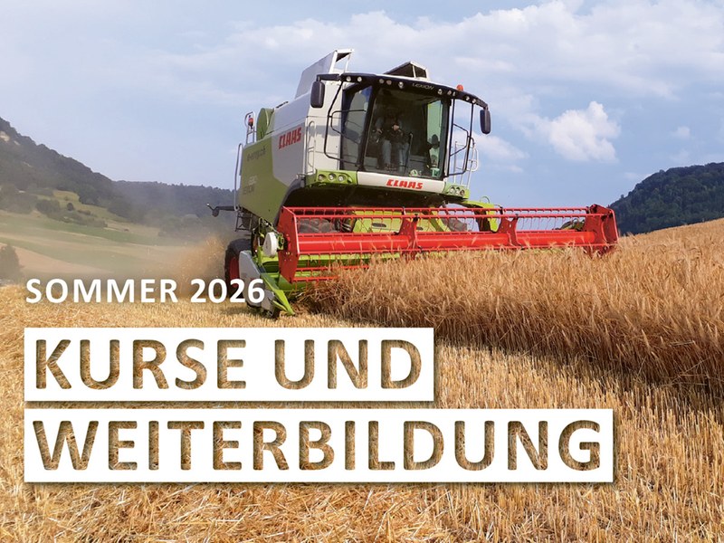Kurse und Weiterbildung / Sommer 2025