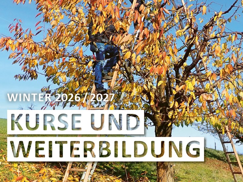 Kurse und Weiterbildung / Winter 2026/2027