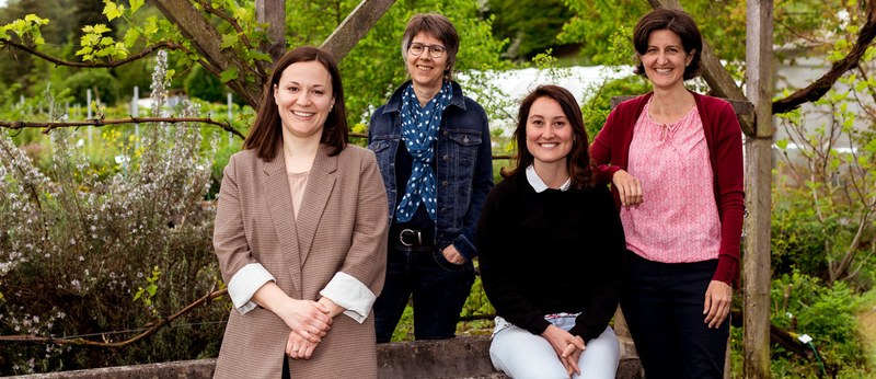 Das Ernährungs-Team