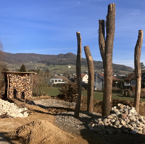 Der Stukturengarten nimmt Formen an