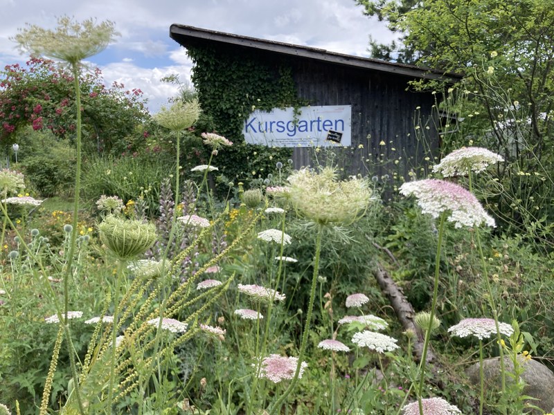 Kursgarten