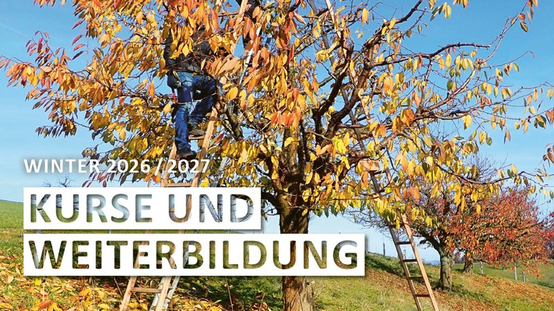 Kursprogramm