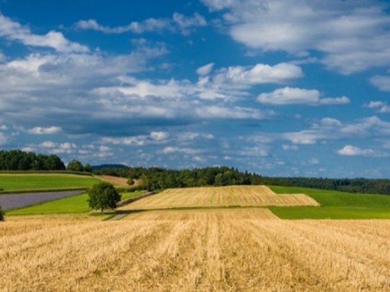 Bewilligungspflicht