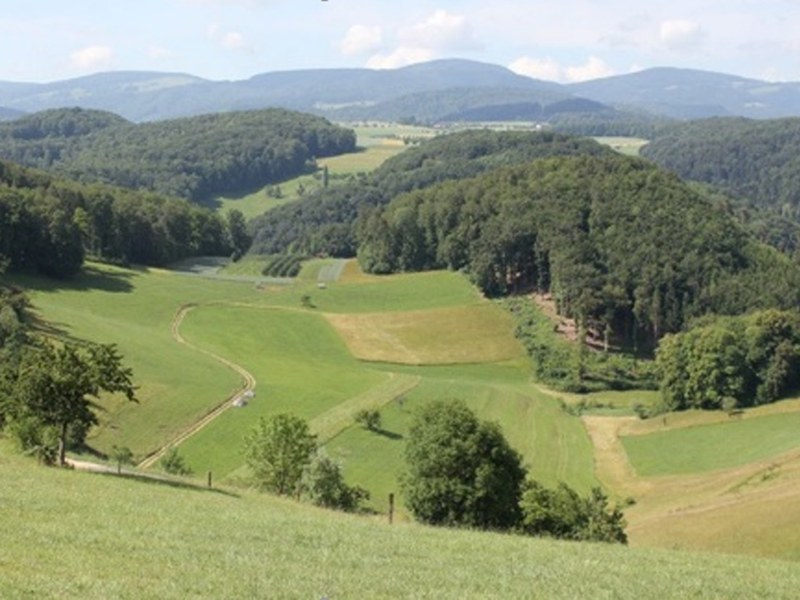 Pachtverträge