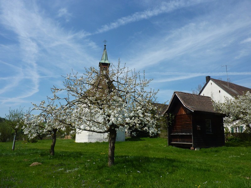 Hochstammobstbäume