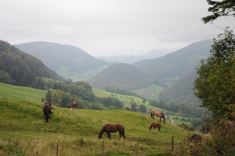 Landschaftsqualitätsbeiträge