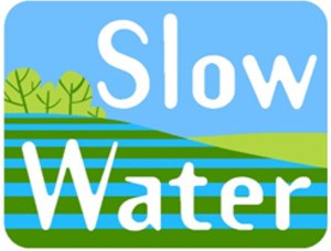 Slow Water Logo