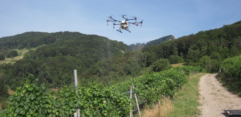 Programm «Wertschöpfung sichern im Baselbieter Obst-, Gemüse- und Weinbau»