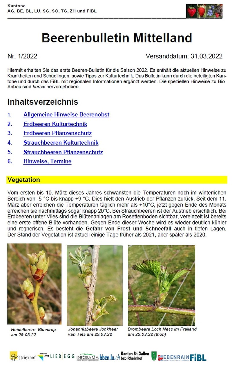 Beeren Bulletin