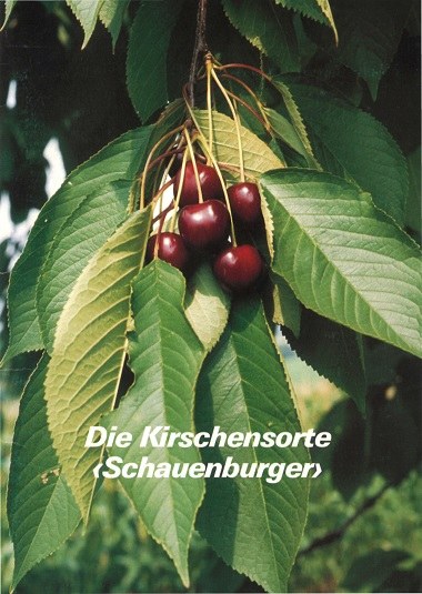 Gedenkschrift